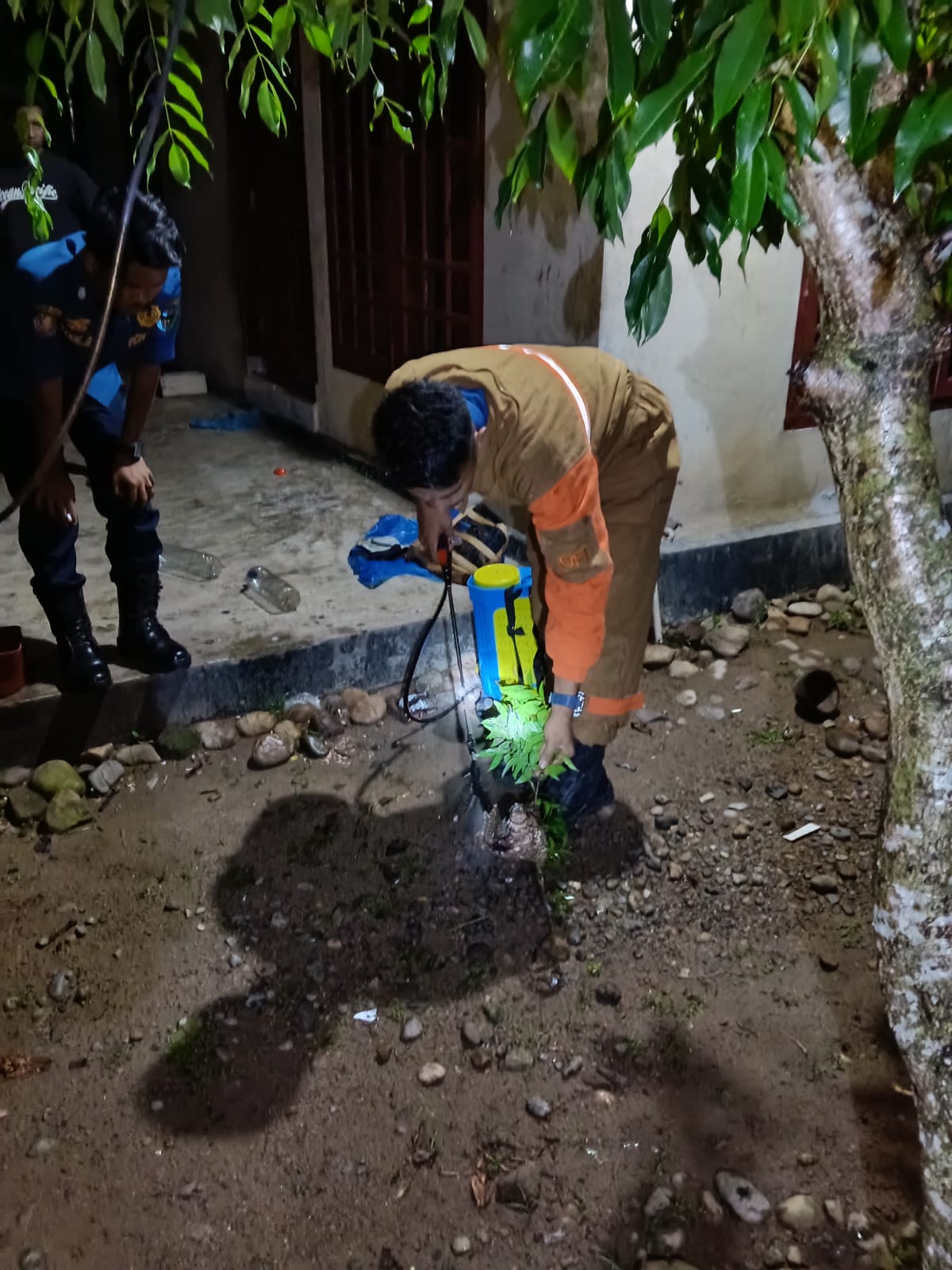 Pemadam Kebakaran Kambang Evakuasi Sarang Tawon