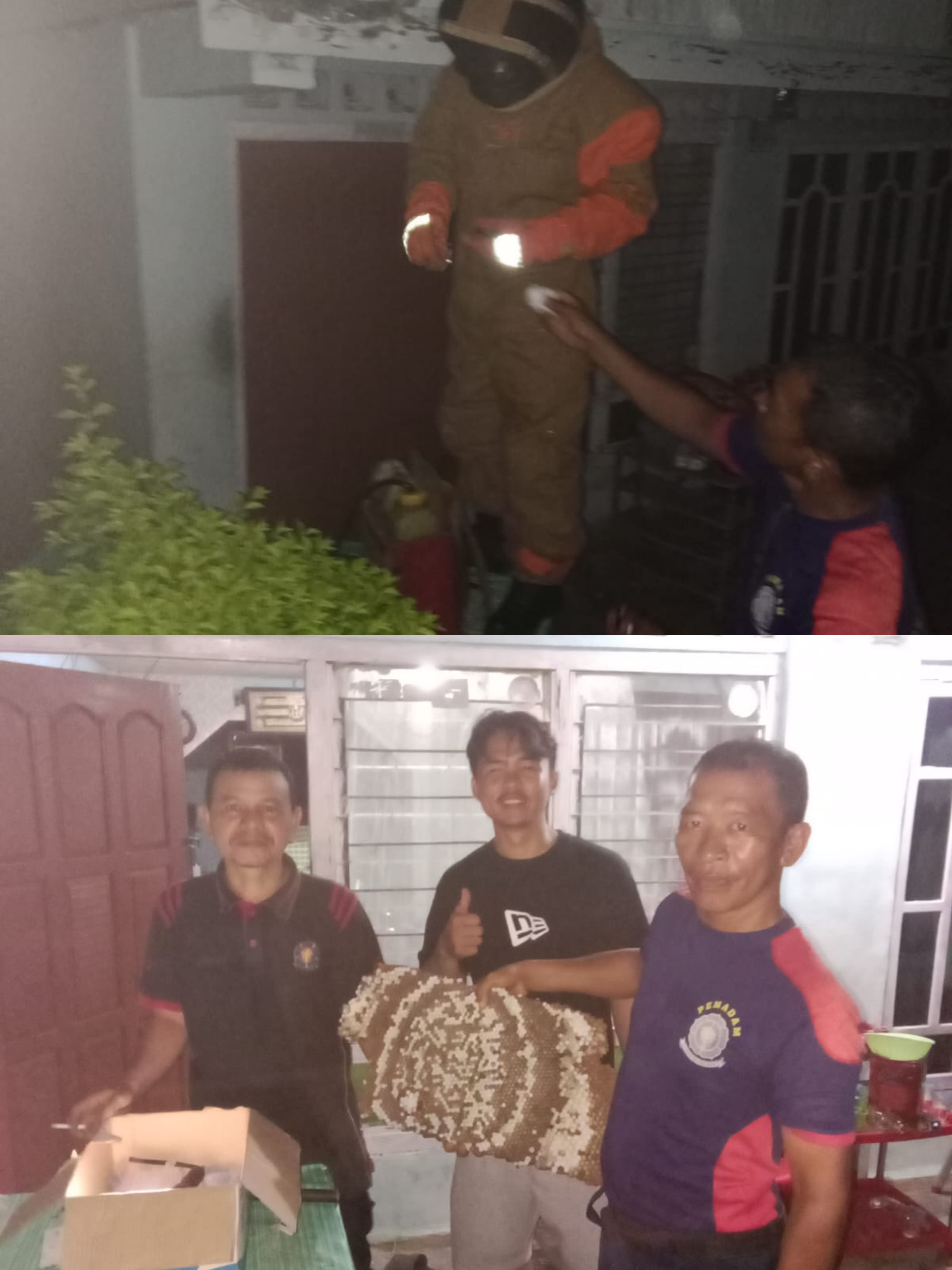 Evakuasi Tawon Vespa di Kec. Pancung Soal