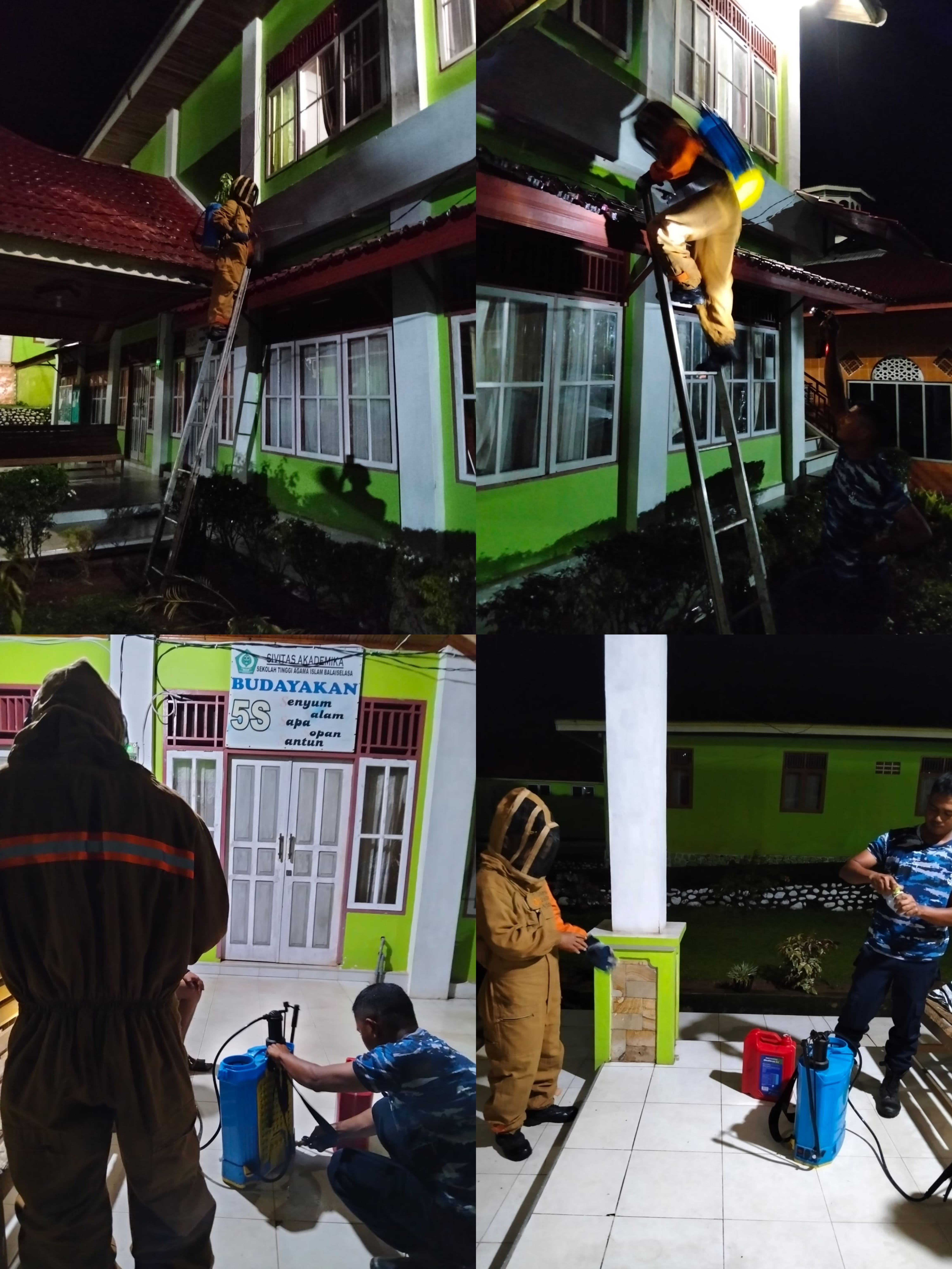 Evakuasi Tawon di STAI BALAI SELASA